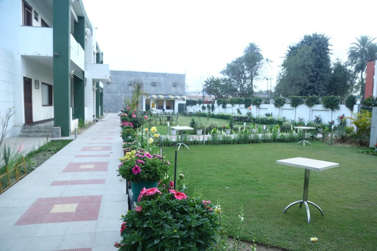 Hotel Whistling Greens Moga Kültér fotó
